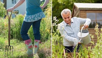 Gardener shares 16p hack that gets her flowers to grow big and bright blooms