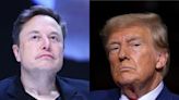 Elon Musk is a Trump win away from serious federal power