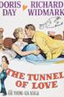 The Tunnel of Love