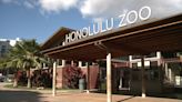 Water line breaks prompting early closure of Honolulu Zoo