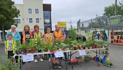 North Cork Tidy Towns group said locality’s latest IBAL ranking is ‘fantastic boost’