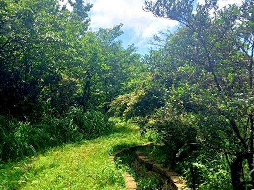 陽明山湖田後山水圳之旅 | 蕃新聞