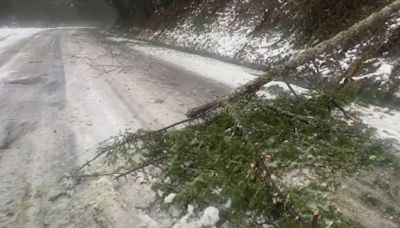 Fire officials concerned about ice storm debris