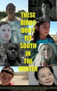 These Birds Don't Fly South in the Winter