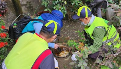 加強孳生源清除 中市增登革熱快篩陽個案