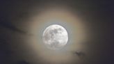 Full Flower Moon covers star Antares Thursday night in ‘occultation’ event - WTOP News