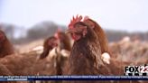 Stitt signs new rules changing how poultry waste is regulated in eastern Oklahoma