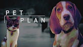 Don't forget to make a plan for your pets when a storm approaches