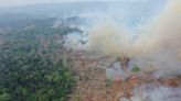 森林大火燒毀5200個足球場面積 瓜地馬拉進入災難狀態│TVBS新聞網