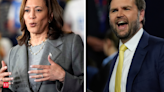 Kamala Harris vs JD Vance: US election season spices with Andhra vs Tamil Nadu flavour - The Economic Times