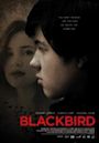 Blackbird (2007 film)