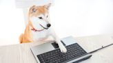 Can Shiba Inu Reach $0.01?