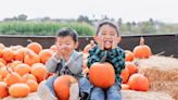 Where To Go Pumpkin Picking In New Jersey This Fall