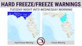 Freeze warnings, temperatures below 20, expected in these Florida counties. How to prepare