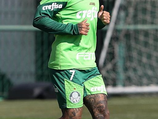 Brasileirão: Palmeiras pode ter reforço de peso para duelo com o Vasco | Vasco | O Dia