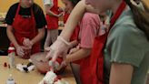 Strawberry shortcakes and book sale benefit Friends of Windham Library