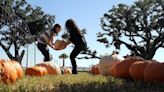 Haunted houses & pumpkin patches: List of fall and Halloween events on the MS Coast