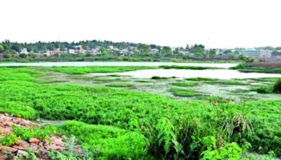 Desperate plea for restoration of Banaswadi Lake