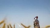 Armed Syrian Kurdish women stand guard over precious wheatfields