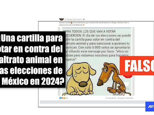 No existe una boleta para votar contra el maltrato animal en las elecciones de México en 2024