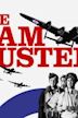 The Dam Busters (film)