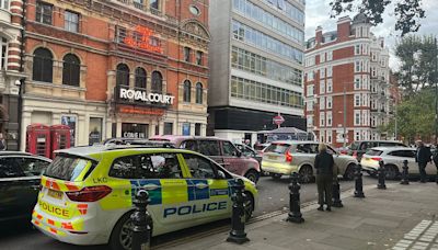 Boy, 15, is stabbed at Sloane Square Tube station