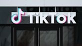 TikTok emerges as current battleground for political engagement to woo young voters