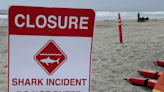 Man attacked by shark during group swim on California beach