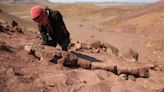 Paléontologie: avant les dinosaures, un superprédateur des marais régnait dans l'extrême sud