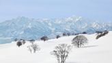 American man killed by avalanche in Japanese mountains
