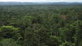 Descubren una enorme red de ciudades antiguas en la selva amazónica