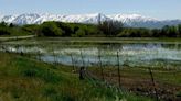 'Sacrifices' will need to be made from Bear River water supply to help Great Salt Lake