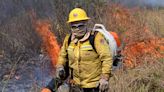 Incêndios a partir de 20 focos queimaram 292 mil hectares do pantanal, diz MP-MS