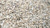 South Korea Touts Rice Prowess to Africa as Market Faces Squeeze