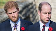 Prince Harry And Prince William Bombshells Revealed In New Book