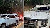 En imágenes: árbol cae sobre la camioneta de una familia en California