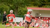 Exciting action enjoyed by all at Duhallow school camogie & hurling finals