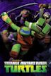 Las tortugas ninja: historias de las tortugas
