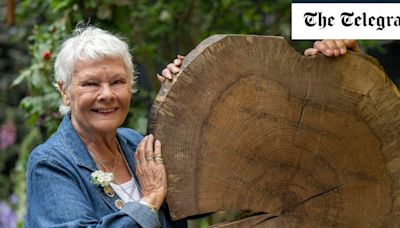 Join me to march for nature, Judi Dench urges the public