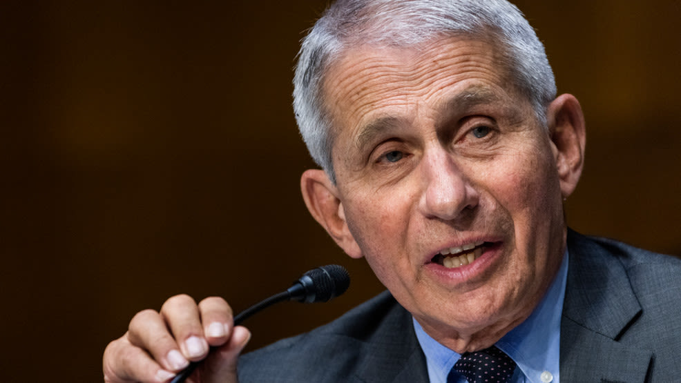 Fauci says Biden is able to remain president: 'I have no doubt'