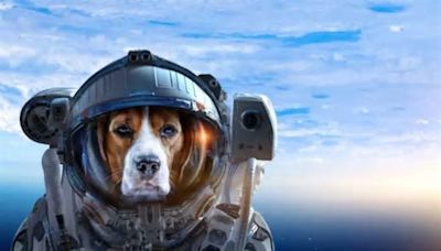 La NASA enviará otro perro a Marte para exploración y rescate