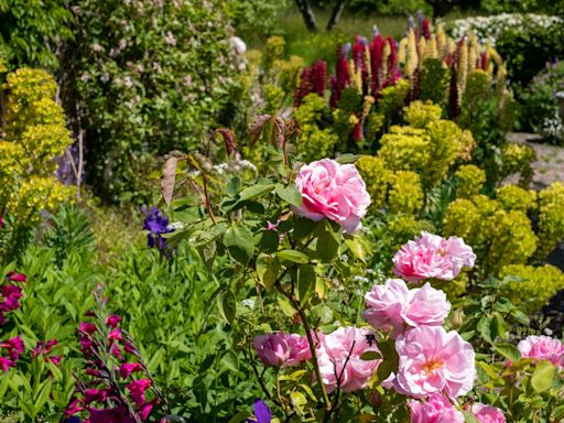 Virginia Woolf was a hopeless gardener – but Monk’s House remains a floral wonderland
