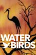 Water Birds