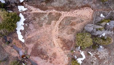 World’s Largest Continuous Dinosaur Trackway Now Belongs To The US Public