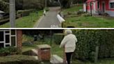 Imagens do Google Maps ajudaram solucionar caso de idosa desaparecida na Bélgica