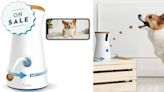 Amazon Dropped Prices on Thousands of Pet Products for Prime Day (Starting at $5)