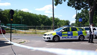 Man stabbed to death and two hurt in park fight