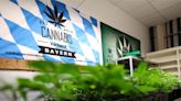 La legalización del uso recreativo del cannabis en Alemania dispara un enérgico debate en Europa