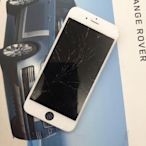 蘋果 iPhone 8 Plus / 8Plus / i8+ / 8+ 液晶外玻璃更換 / 顯示與觸控功能需正常