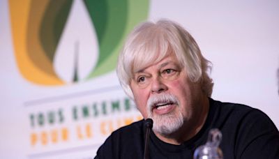 Prisão de Paul Watson, ativista contra caça de baleias, cria tensão em Dinamarca e Japão